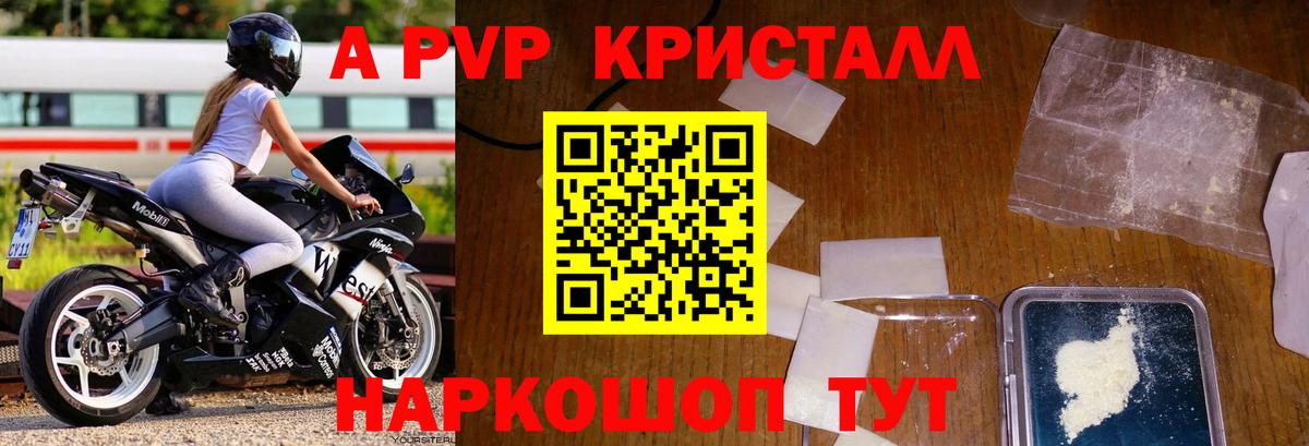 A PVP СК Нижний Тагил