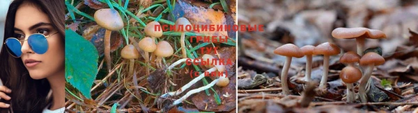 кокаин колумбия Михайловка