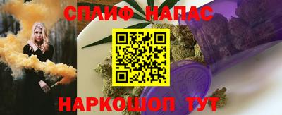 гашик Гагарин