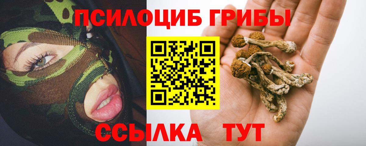Псилоцибиновые грибы GOLDEN TEACHER Нижний Тагил